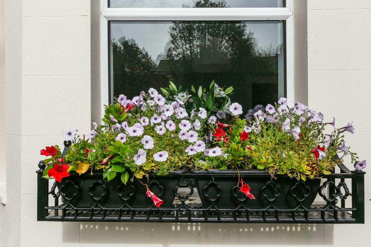 Cyprus View Apartment ベルファスト エクステリア 写真